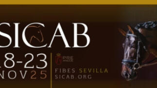 Entradas SICAB 2025